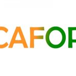 convocations concours CAFOP 2023