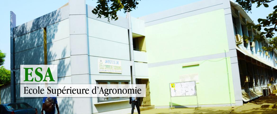 ESA/UL: École Supérieure d'Agronomie de l'Université de Lomé