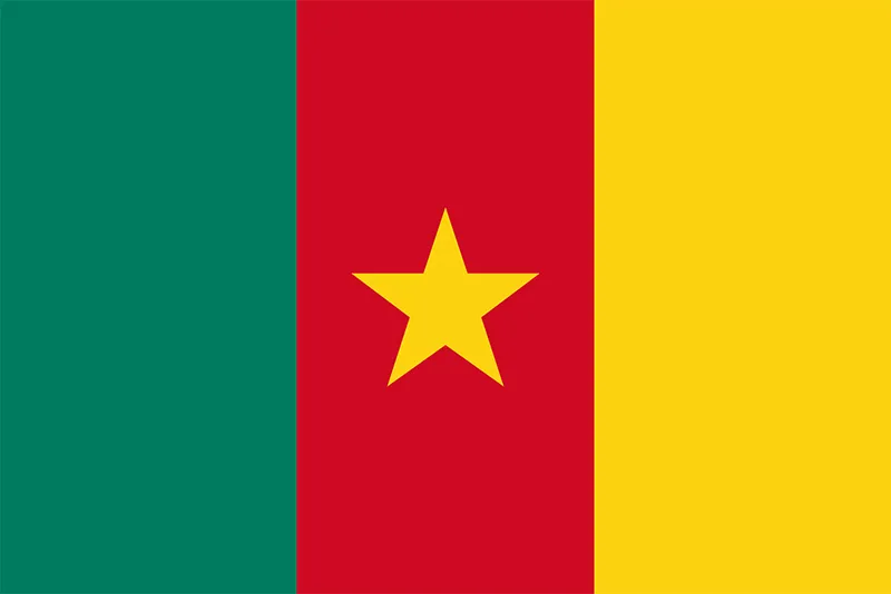Actualités éducatives au Cameroun