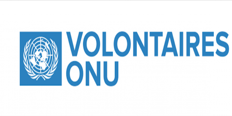 Le Programme des Volontaires des Nations Unies (VNU) recrute Assistante rations
